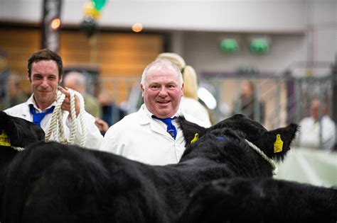 Aberdeen-Angus breeders flock to Black Beauty Bonanza