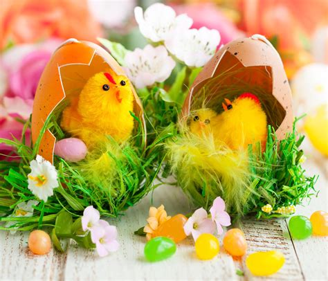 Chicks Easter Wallpapers - Wallpaper Cave