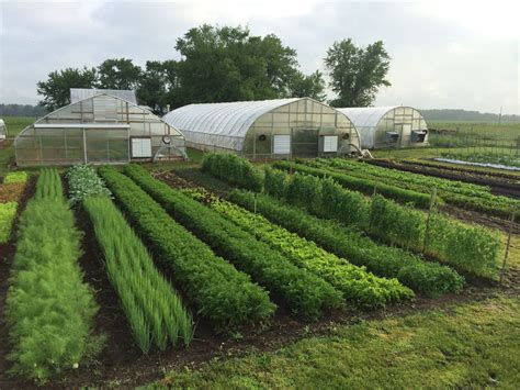 A Method for Growing a Lot of Food on Little Land | Garden layout ...