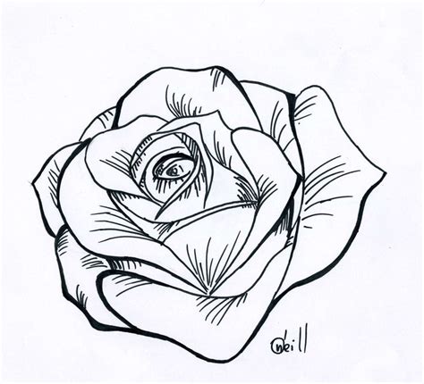 The 39 best Rose Drawing Stencil Tattoo Designs images on Pinterest ...