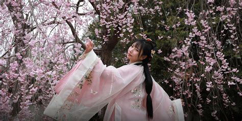 In China, Climate Change Disrupts a Beloved Tradition: Cherry Blossom ...