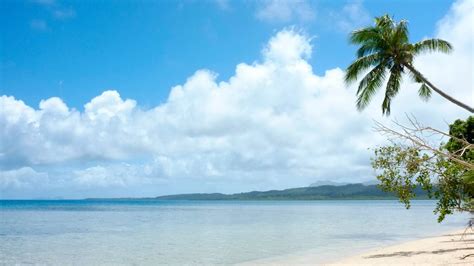 Day at the Beach in Suva, Fiji | Port Adventures | Disney Cruise Line