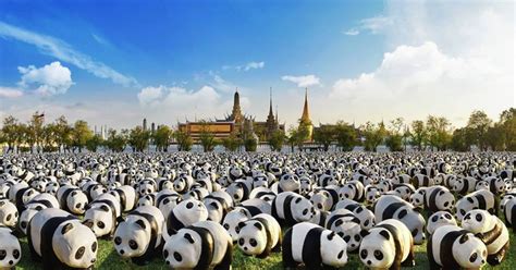 1,600 pandas to invade Bangkok next month. Here's where to find them ...