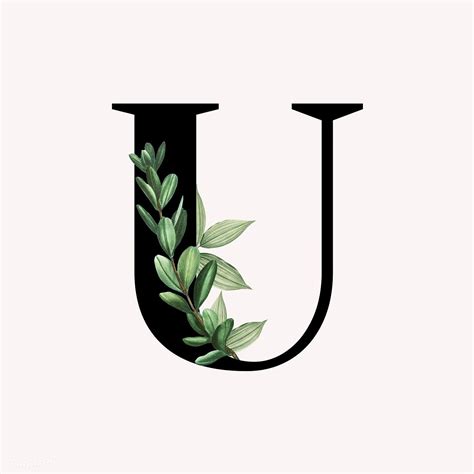 Botanical capital letter U illustration | premium image by rawpixel.com ...