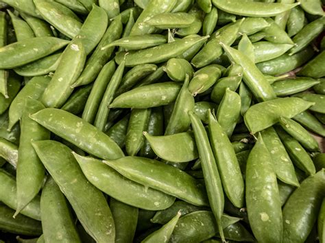 Green Peas In A Pod Free Stock Photo - Public Domain Pictures