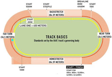 Each Track and Field Event Has Unique Characteristics, So Let's Brush ...