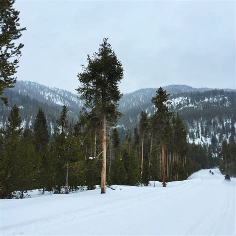 Big Sky, Montana + Yellowstone National Park — bows & sequins