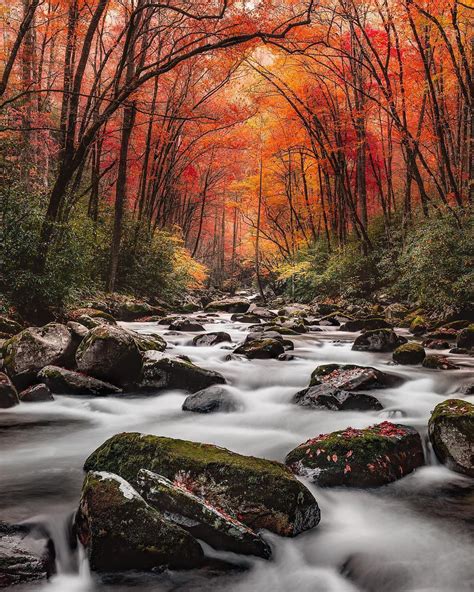 Fall at Great Smoky Mountains National Park : r/NationalParkPorn