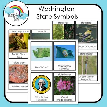 Washington State Symbols by Rainbow Girl | TPT