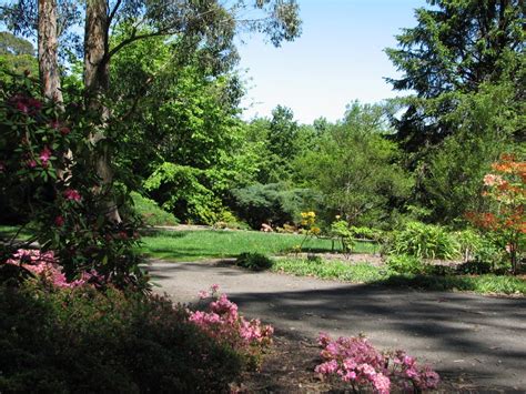 Mt Lofty Botanic Gardens - Trevor's Birding