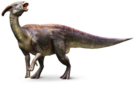 Parasaurolophus | Parasaurolophus Facts | DK Find Out