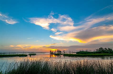 Where is the Mississippi River Delta? - WorldAtlas