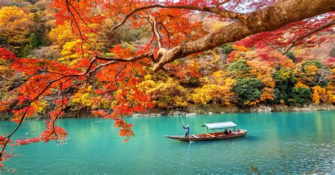 Japan Fall Foliage Guide 2019 | VELTRA