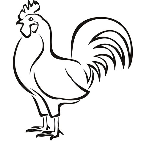 Chicken Drawing at GetDrawings | Free download