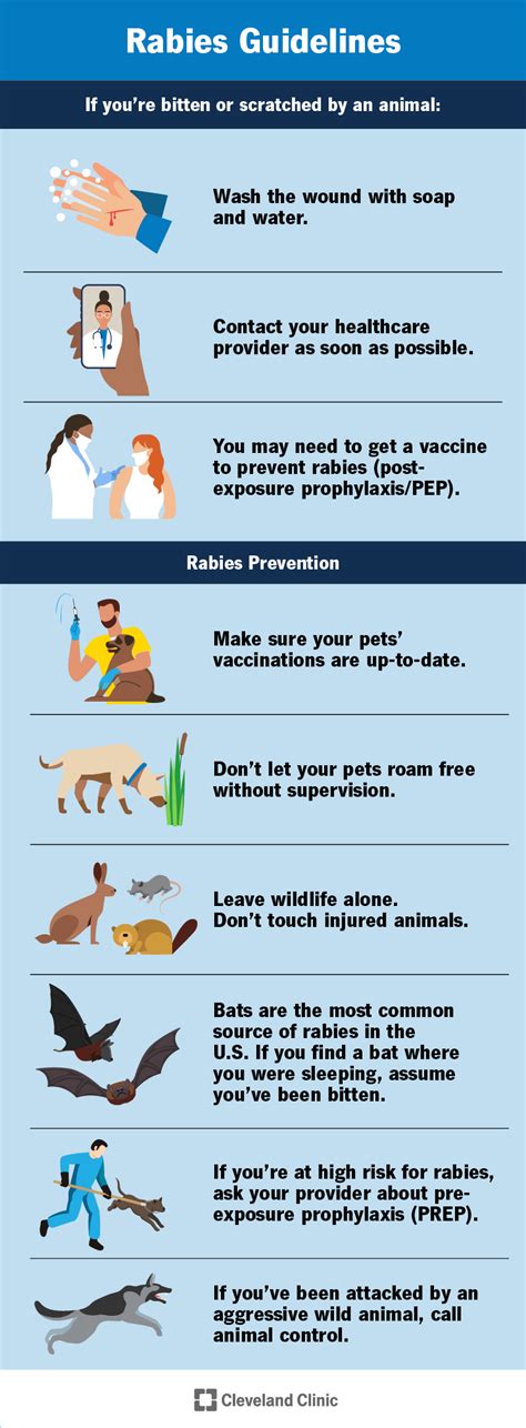 Top 8 symptoms of rabies in dogs to humans 2022