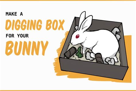 DIY Rabbit Digging Box