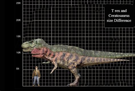 T rex and Creatosaurus Size Difference by TheSpiderAdventurer on DeviantArt