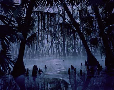 Swamp at Night | swamp-night Louisiana Swamp, Dnd, Gothic Aesthetic ...