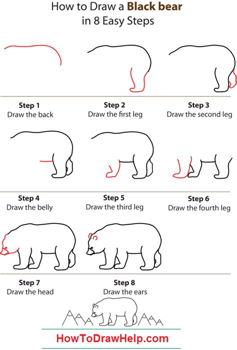 How to Draw a Bear Head Step by Step - Maher Wasublivis