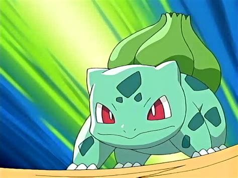 Ash's Bulbasaur | Jaden's Adventures Wiki | FANDOM powered by Wikia