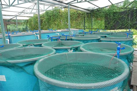 Aquaculture | Agricultural Marketing Resource Center