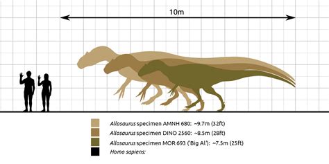 150-Million-Year-Old Mystery Dinosaur Skeleton Auctions For $2.3 Million!