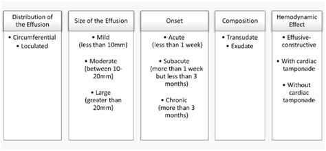 Principle classifications of PE. | Download Scientific Diagram