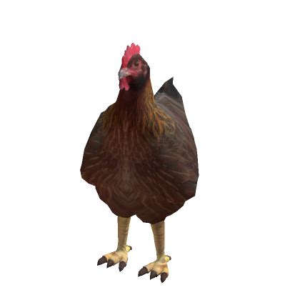 Realistic Chicken Costume | Roblox Item - Rolimon's