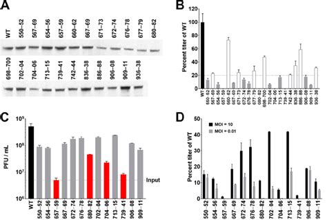 Alanine scanning mutagenesis of conserved amino acids in the C-terminus ...