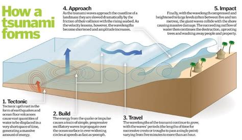 How Does A Tsunami Form And Occur