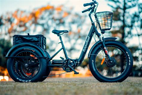 The Best Electric Trike Bikes For Adults And Seniors - EU-Vietnam ...