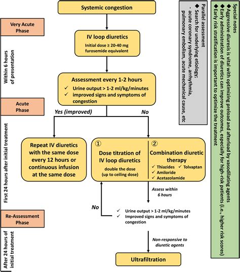 Time‐sensitive approach in the management of acute heart failure ...