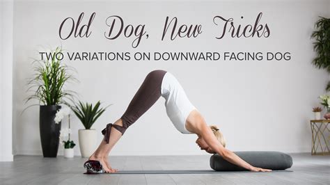 Old Dog, New Tricks: Two Variations on Downward Facing Dog