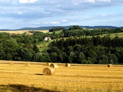 Summer in Czech Republic | Natural landmarks, Czech republic, Summer