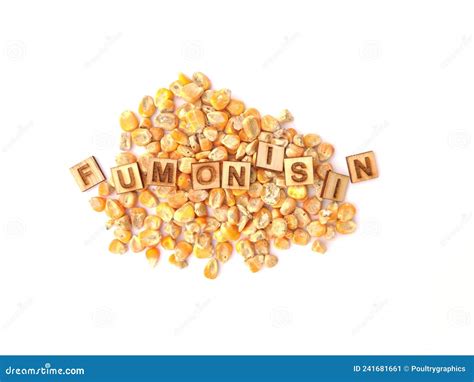 Fumonisin In Corn, Mycotoxin In Poultry Feed Royalty-Free Stock ...