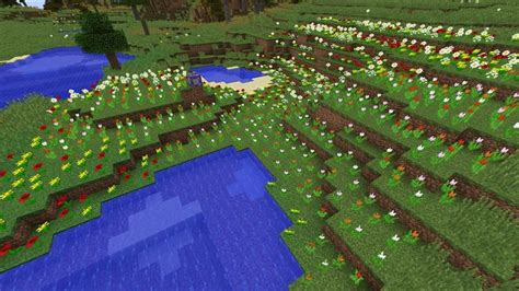 Flower forest biome in Minecraft: Everything players need to know