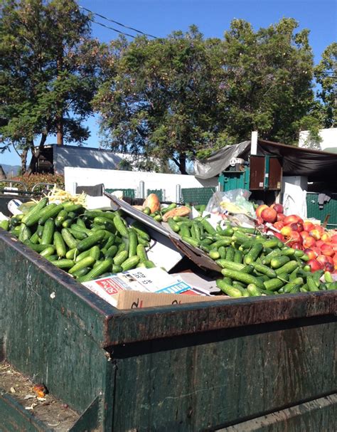 15 Ways to Reduce Waste in School Cafeterias - Zero-Waste Chef