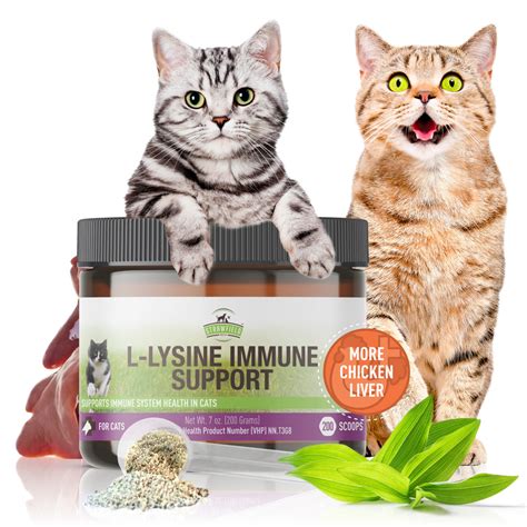 L-Lysine Immune Support for Cats - 900mg Per Included Scoop - 7oz(200g ...