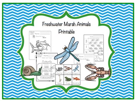 Freshwater Marsh Animals Printable ~ Preschool Printables