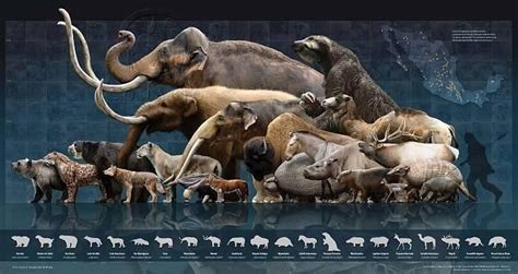 Megafauna de México a finales del Pleustoceno (Mexican Megafauna at the ...