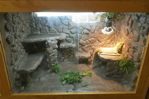 Diy Bearded Dragon Enclosure / Bearded Dragon . org • View topic - Viv ...