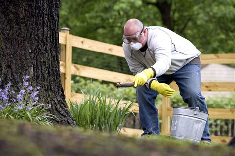 Developing a Lawn Fertilizing Schedule