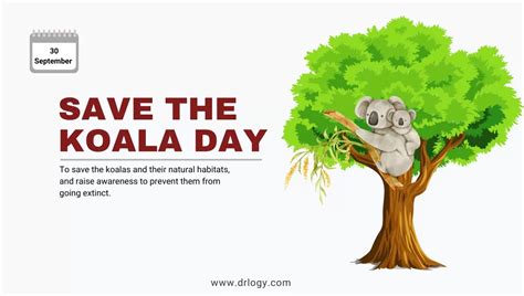 Save the Koala Day -September 30: History, Tips & Importance - Drlogy