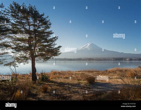 Beautiful Mount Fuji view from around lake Kawaguchi in the morning ...