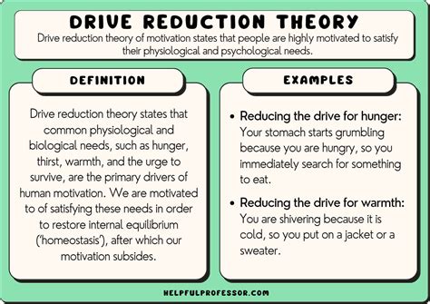 Drive Reduction Theory of Motivation: Definition & Examples (2024)