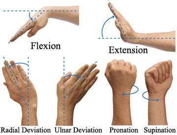 Simple Solutions for Poor Wrist Mobility - Invictus Fitness