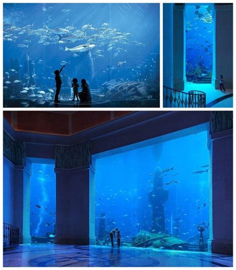 Atlantis The Palm Resort Dubai - Aquarium - Paging Fun Mums