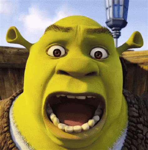 Shrek GIF - Shrek - Discover & Share GIFs