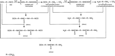 Figure 5-2, Partial Scheme for Hydrolysis Reactions of Hexamethylene ...