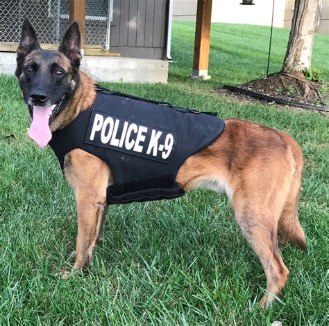 K9 for Kansas police department gets $1,700 protective vest